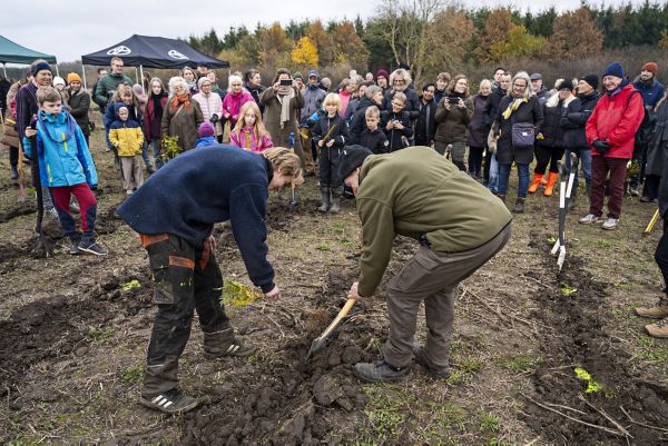 Sjællands første skovbadeskov indviet