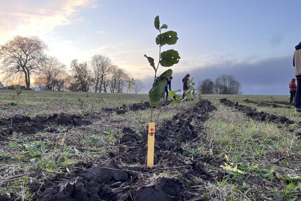 Sjællands første skovbadeskov indviet