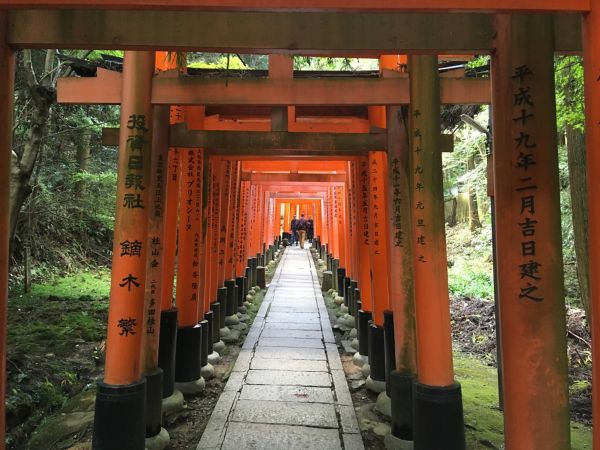 Ein mit leuchtend orangefarbenen Torii-Toren gesäumter Weg führt durch einen üppigen Wald.