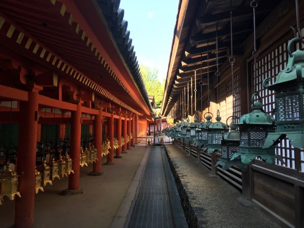 Ein ruhiger Weg zwischen traditionellen japanischen Laternen und leuchtend roten Säulen führt tiefer in eine ruhige Schreinumgebung.