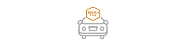 icono seguro link