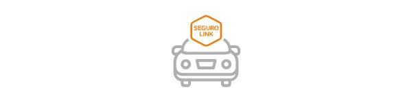 icono seguro link