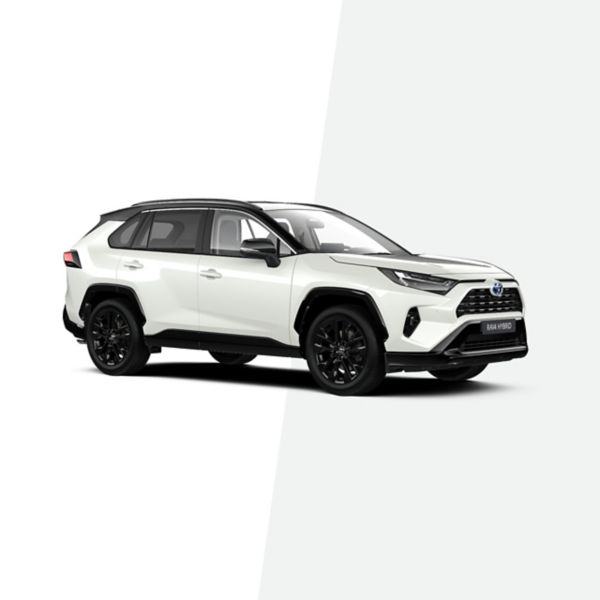 Interior RAV4 Style