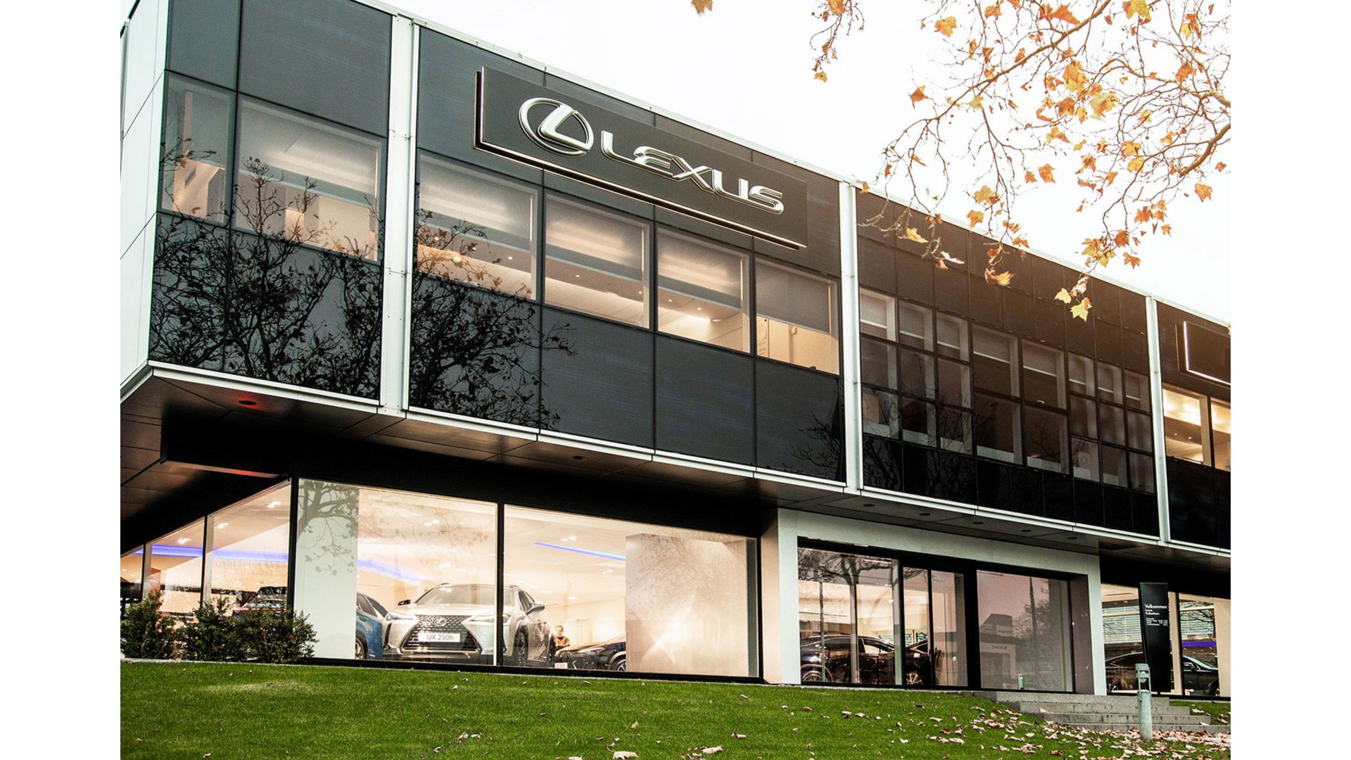 Besøg Lexus | Showroom og prøvetur | Lexus Danmark