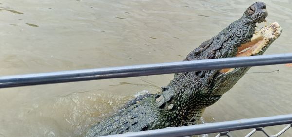 Kakadu nasjonalpark