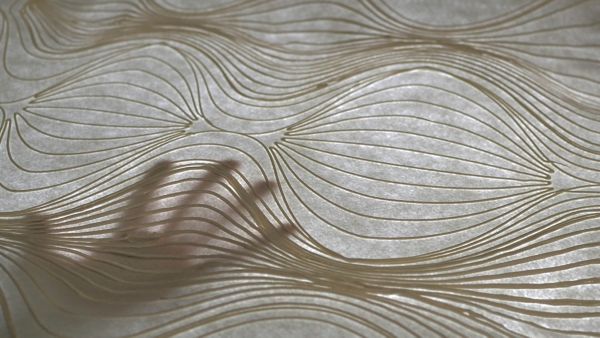 ОГОЛОШЕНО ФІНАЛІСТІВ КОНКУРСУ LEXUS DESIGN AWARD 2020 — 6 ІННОВАЦІЙНИХ РІШЕНЬ ДЛЯ КРАЩОГО МАЙБУТНЬОГО