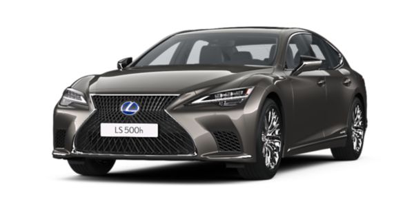 LS-13