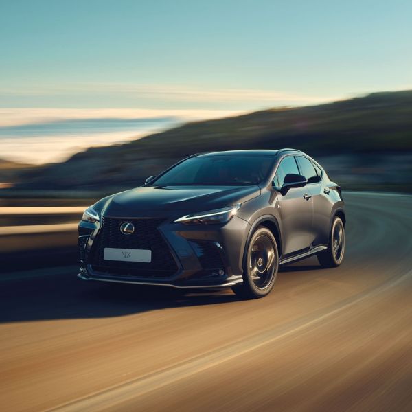 Lexus NX 300h Business