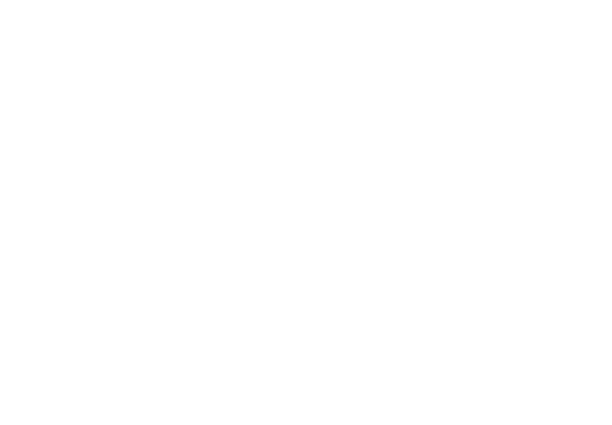 Logo RZ