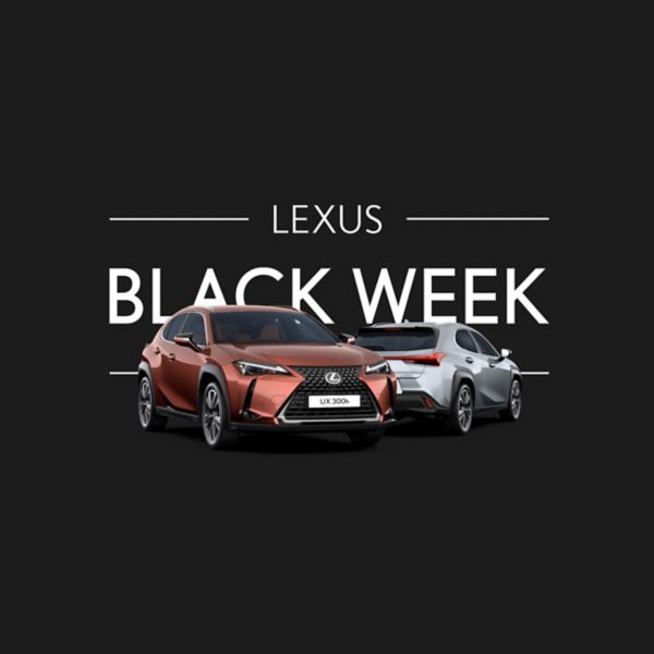 Lexus Black Week 2024 UX 2