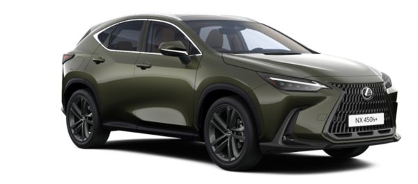 Lexus NX Accessories Green 40