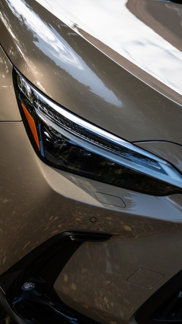 Lexus NX Overtrail X Milan Radisics dsc_8820