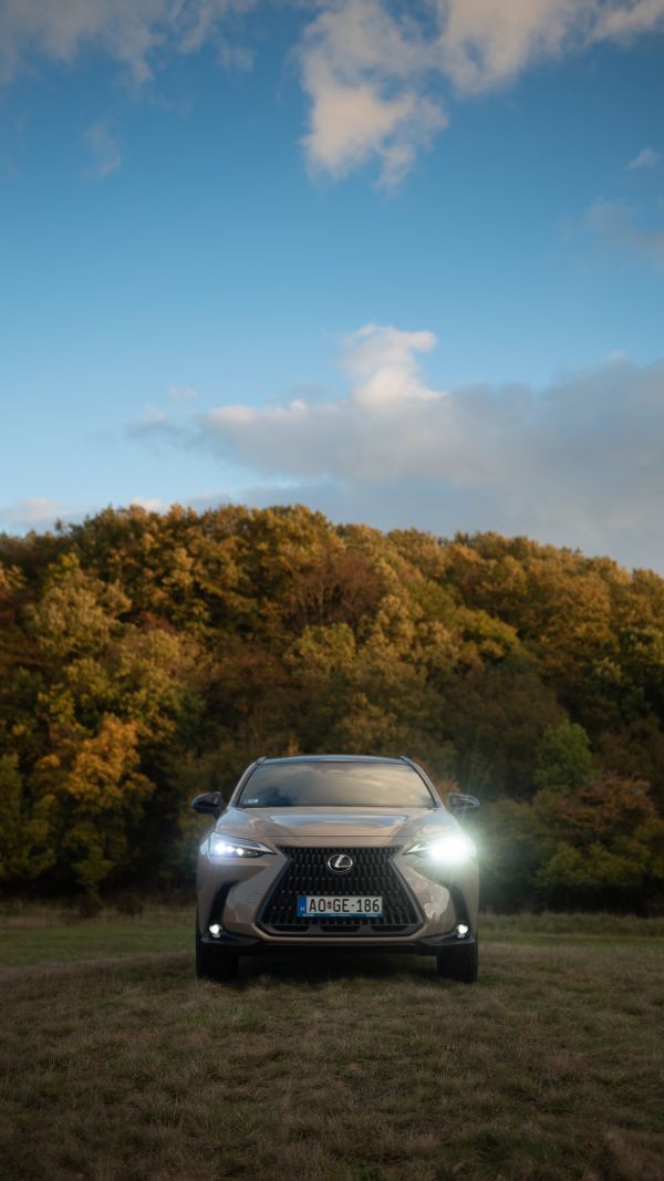 Lexus NX Overtrail X Milan Radisics dsc_9584