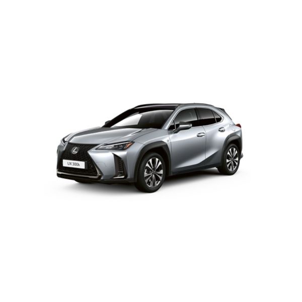 Lexus 35th Editions, Lexus UX 300H, exterieur, linker zijaanzicht