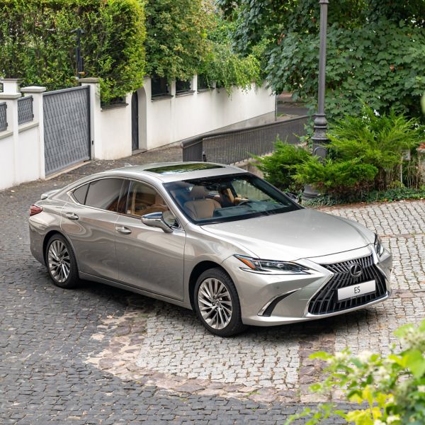 Lexus-ES-300h-19-rejestracja-1