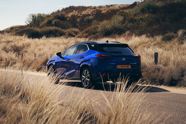 Lexus, UX, 300h, exterieur, driekwart, linksachter