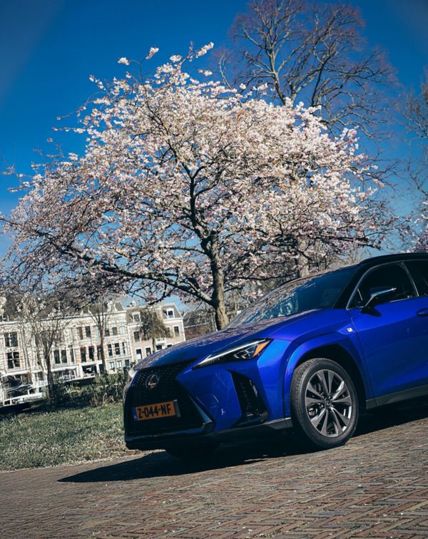Lexus, UX, 300h, exterieur, driekwart, rechtsvoor, close up
