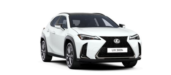 Vooraanzicht van een Lexus UX 300h