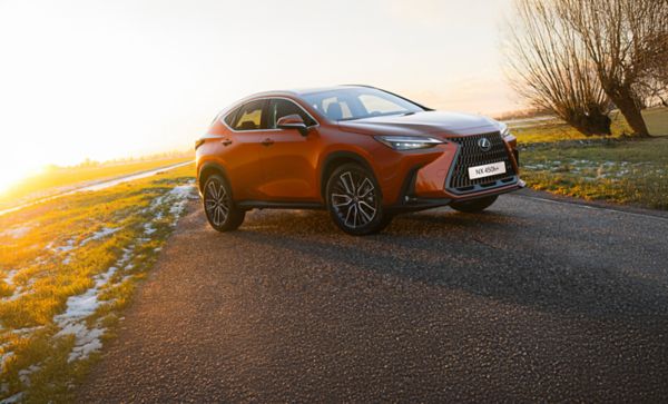 Lexus winterbanden NX 450h+