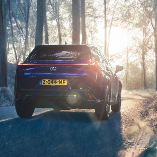 Lexus_Elements_Check_2025_Spotlight_1280x1280_4