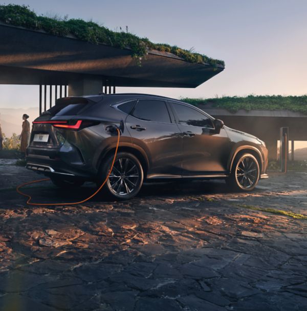 Lexus_NX_LP1