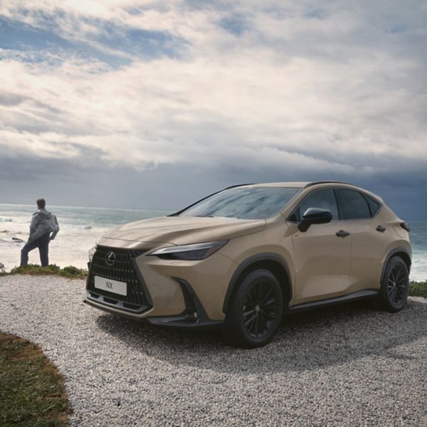 Lexus NX op het strand