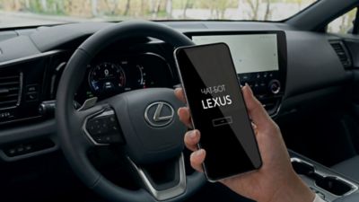 Lexus Chat Bot