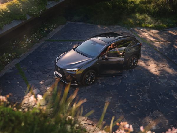 Lexus NX parked