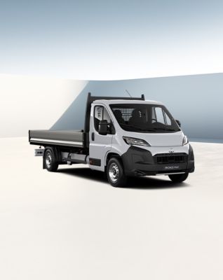 Proace Max Kamyonet