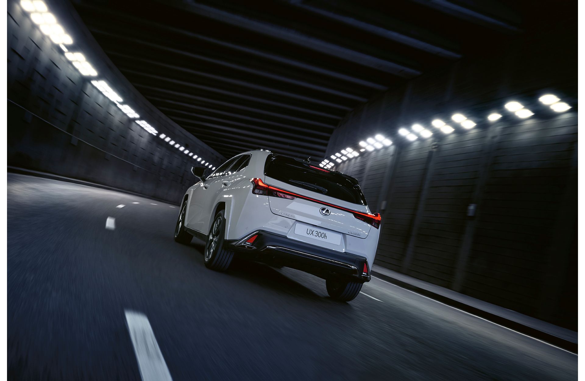 Lexus UX rear view