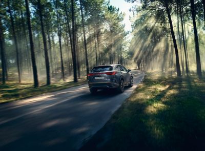 NX Plug-in Hybrid takaa