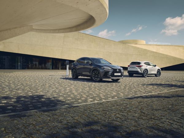 Lexus NX models