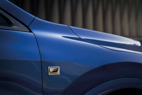 Lexus RX side badge
