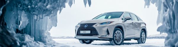 The Lexus RX