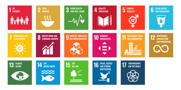 Infographie expliquant le développement durable chez Toyota