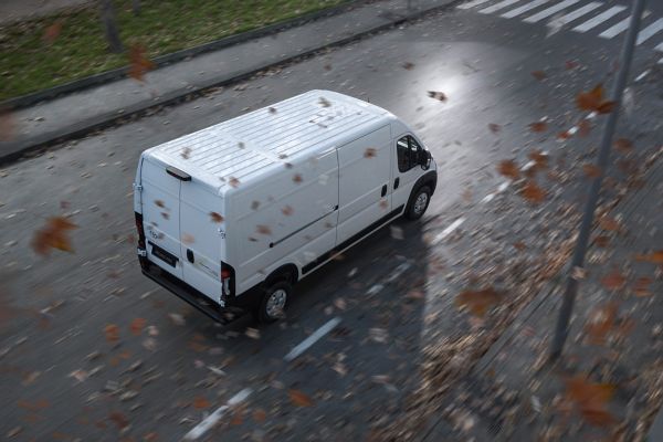 Proace Max auf feuchter Straße mit Herbstlaub