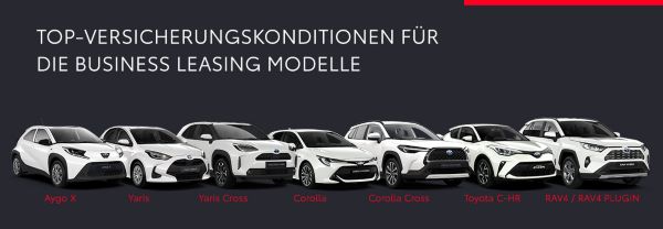 Top-Versicherungskonditionen für die Hybrid Leasing Modelle