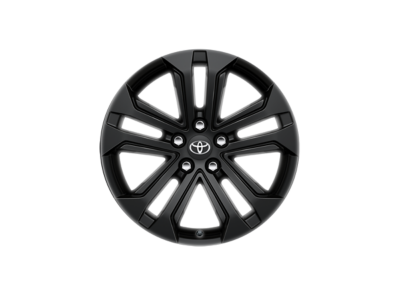 Stříbrné hliníkové kolo s pneumatikou