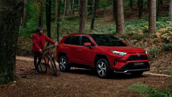 RAV4-Plugin-metsa