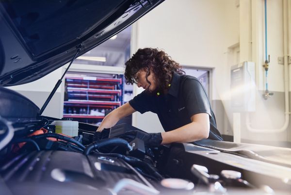 Lexus car maintenance
