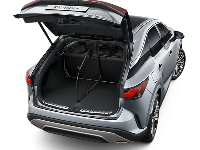 TYYLDZ Cuir Tapis de Coffre de Voiture pour Lexus UX 250h/260h Hybrid 2018  2019 2020 2021 2022, Résistant à l'usure et aux Rayures Tapis de Coffre  Personnalisé Doublure : : Auto et Moto
