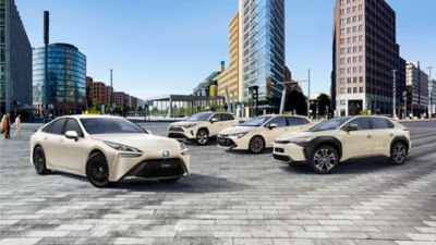 Individuelle Mietwagen-Lösungen