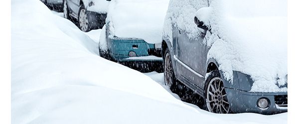 Toyota Nature