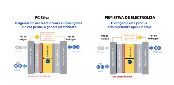 SCHEMA STIVA