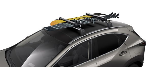 Skistativ