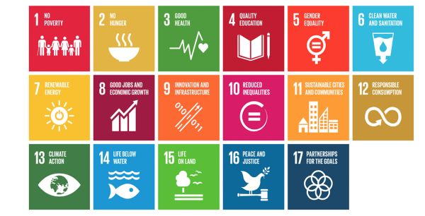 Infographic explaining sustainability at Toyota