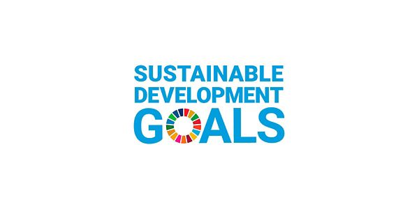 Sustainable Development Goals, logo