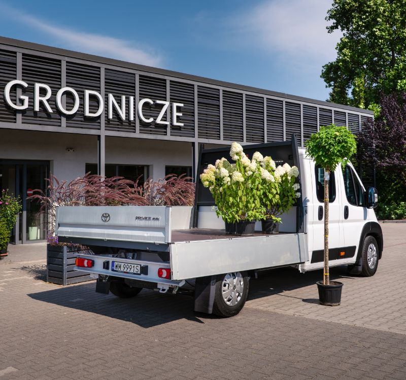 Zabudowa 1 - widok 1