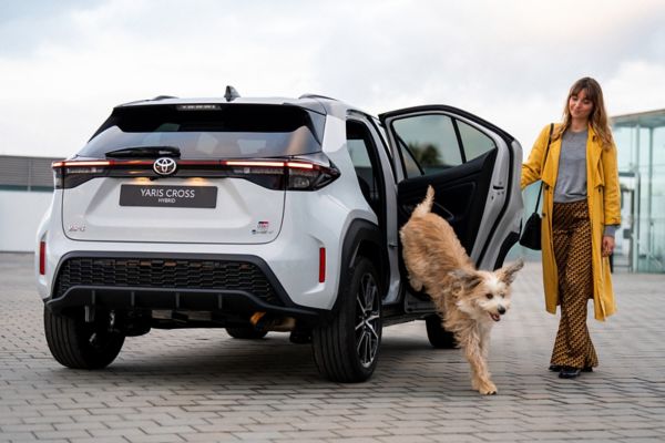 Group of mulitple Toyota electric cars