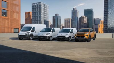 Gamma Toyota Professional